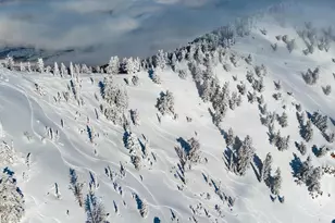 8495 E Cobabe Ct, Eden, UT 84310 - Photo 27