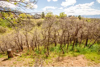 2534 E Grand Point Cir, Sandy, UT 84092 - Photo 49