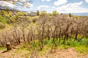 2534 E Grand Pt Cir, Sandy, UT 84092 - Photo 49