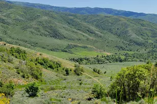 12737 E High Pine Cir N, Huntsville, UT 84317 - Photo 1