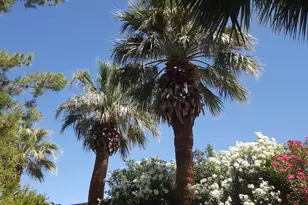 860 Village Rd, Saint George, UT 84770 - Photo 9