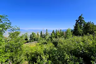 12 Pine Ridge Estates Dr, Mount Pleasant, UT 84647 - Photo 1