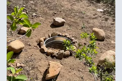 11607 Middle Fork Dr #SR16, Huntsville, UT 84317 - Photo 5