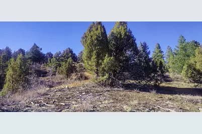 5 Acres Francis St #2, Duck Creek Village, UT 84762 - Photo 5