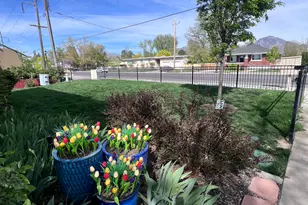 3556 S 900 E, Millcreek, UT 84106 - Photo 19