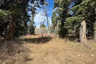 1974 Elk Rd, Coalville, UT 84017 - Photo 13