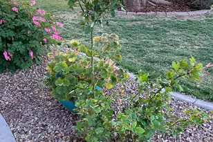 78 E 1875 S, Roosevelt, UT 84066 - Photo 53