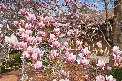 2308 N 800 E, North Logan, UT 84341 - Photo 41