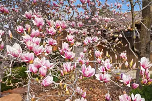 2308 N 800 E, North Logan, UT 84341 - Photo 41