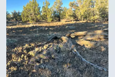 [Address not provided], Duchesne, UT 84021 - Photo 11