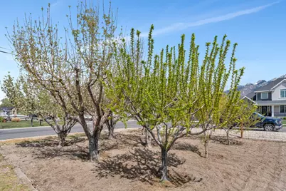 622 E 12000 S, Draper, UT 84020 - Photo 43