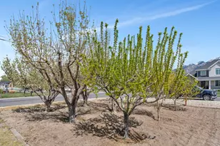 622 E 12000 S, Draper, UT 84020 - Photo 43