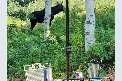 7347 Jim Bridger Dr #H47, Huntsville, UT 84317 - Photo 11