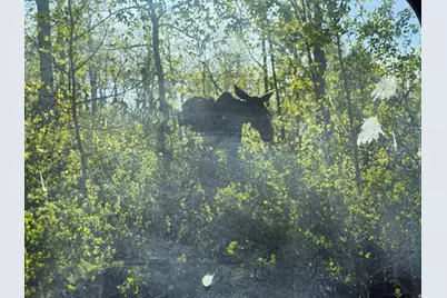 7347 Jim Bridger Dr #H47, Huntsville, UT 84317 - Photo 5