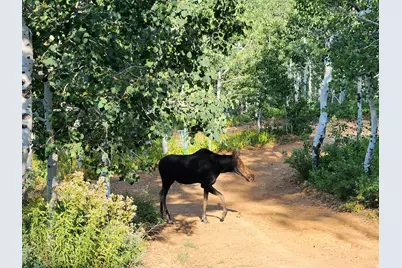 7347 Jim Bridger Dr #H47, Huntsville, UT 84317 - Photo 7