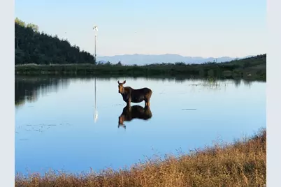 7347 Jim Bridger Dr #H47, Huntsville, UT 84317 - Photo 9