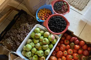 339 E 1900 St N, North Ogden, UT 84414 - Photo 41