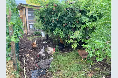 339 E 1900 St N, North Ogden, UT 84414 - Photo 39