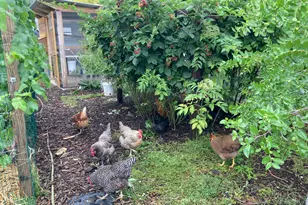 339 E 1900 St N, North Ogden, UT 84414 - Photo 39