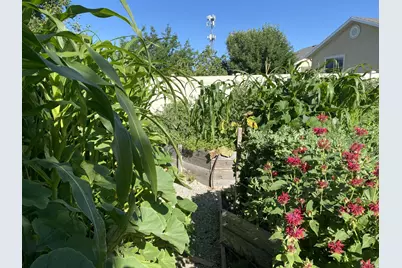 339 E 1900 St N, North Ogden, UT 84414 - Photo 35