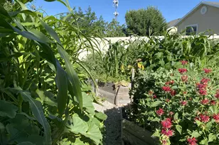 339 E 1900 St N, North Ogden, UT 84414 - Photo 35