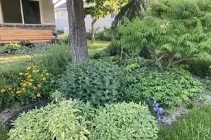 339 E 1900 St N, North Ogden, UT 84414 - Photo 31