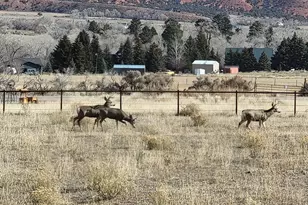8551 W Sawtooth Park Dr, Dry Fork, UT 84078 - Photo 47