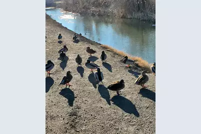 1359 W Stewart Dr, Riverton, UT 84065 - Photo 25