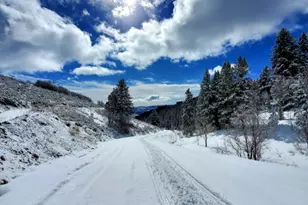 11829 Falcon Point, Huntsville, UT 84317 - Photo 23