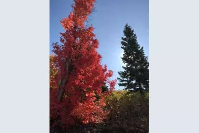 23465 N Thads Peak E #J27, Fairview, UT 84629 - Photo 3