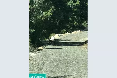 23465 N Thads Peak E #J27, Fairview, UT 84629 - Photo 13