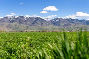 553 S Main St, Lewiston, UT 84320 - Photo 29