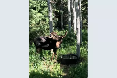 1456 W Navajo Rd, Wanship, UT 84017 - Photo 7