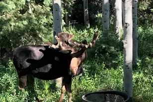 1456 W Navajo Rd, Wanship, UT 84017 - Photo 7