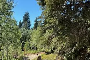 1456 W Navajo Rd, Wanship, UT 84017 - Photo 41