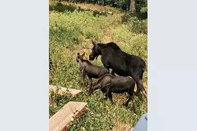 1456 W Navajo Rd, Wanship, UT 84017 - Photo 3