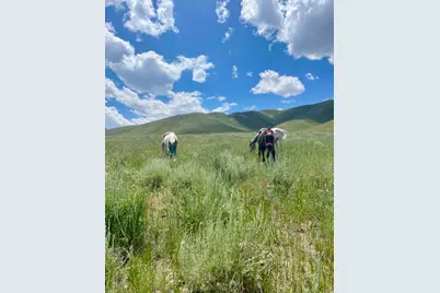 25 Stansbury Agricultural Propert #25, Grantsville, UT 84029 - Photo 7