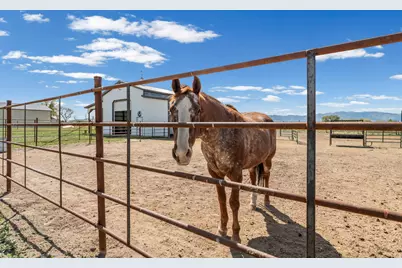 4677 N Selma Way, Erda, UT 84074 - Photo 49