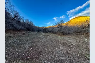 123 Spring Hollow, Morgan, UT 84050 - Photo 5