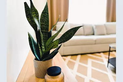 529 S 1020 W #204, American Fork, UT 84003 - Photo 97