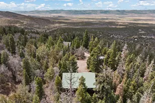 106 E Sugar Pine Dr S, Mount Pleasant, UT 84647 - Photo 69