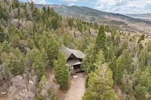 106 E Sugar Pine Dr S, Mount Pleasant, UT 84647 - Photo 35