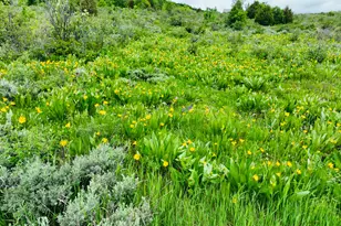 839 S Boosway Cir, Garden City, UT 84028 - Photo 1