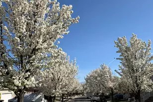 7915 N Geronimo Dr W, Eagle Mountain, UT 84005 - Photo 69