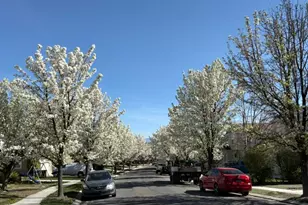 7915 N Geronimo Dr W, Lehi, UT 84005 - Photo 5