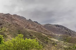 86 S Bald Mountain Dr, Alpine, UT 84004 - Photo 43