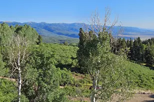53 N Deer Valley Dr, Fairview, UT 84629 - Photo 9