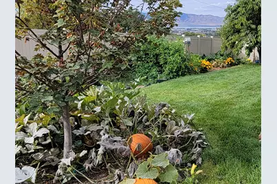 1118 N 580 E, Pleasant Grove, UT 84062 - Photo 49