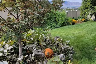 1118 N 580 E, Pleasant Grove, UT 84062 - Photo 49
