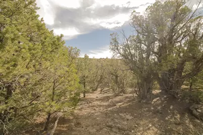[Address not provided], Duchesne, UT 84021 - Photo 63